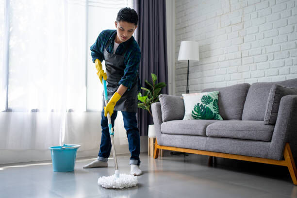 Professional cleaners
